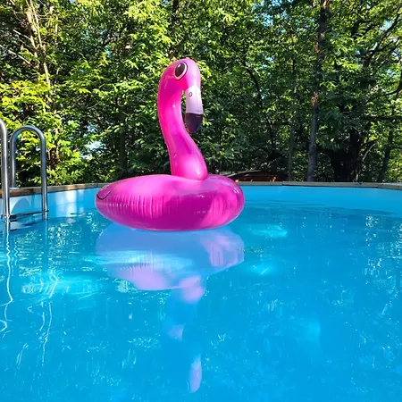 La Bleuet Avec Piscine 营地